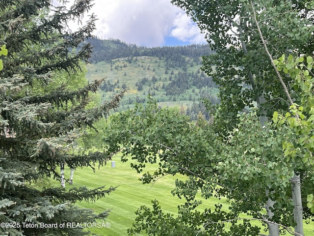 3065 N Mountain Maple Ln, Wilson, WY 83014 - view of mountain background featuring a forest