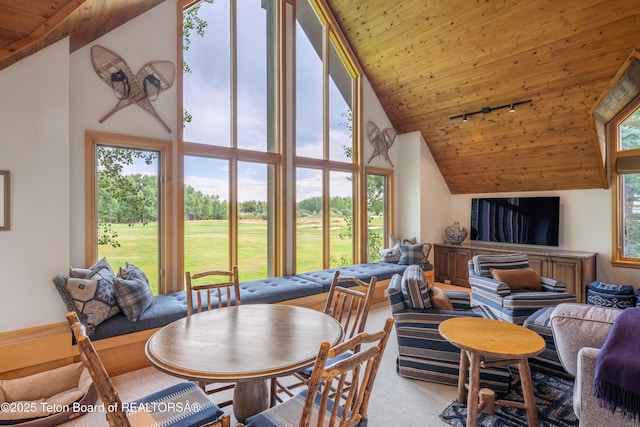3065 N Mountain Maple Ln, Wilson, WY 83014 - photo 8