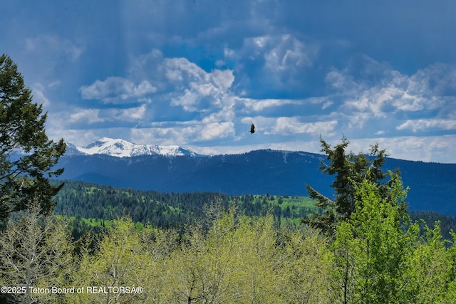 3191 Canyon Crest Dr, Victor, ID 83455