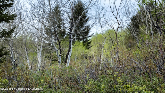 3191 Canyon Crest Dr, Victor, ID 83455