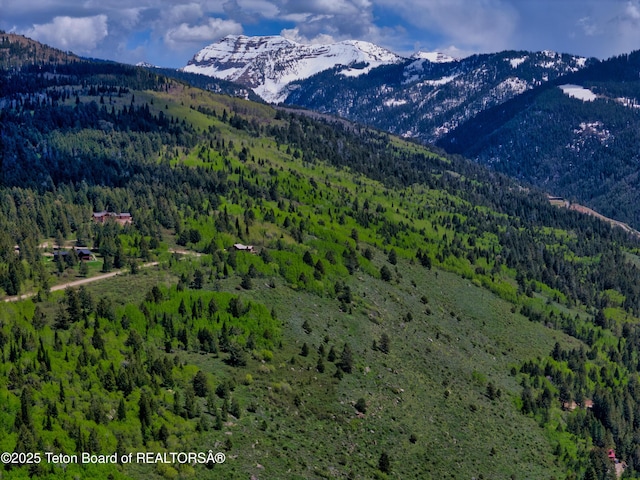 3191 Canyon Crest Dr, Victor, ID 83455
