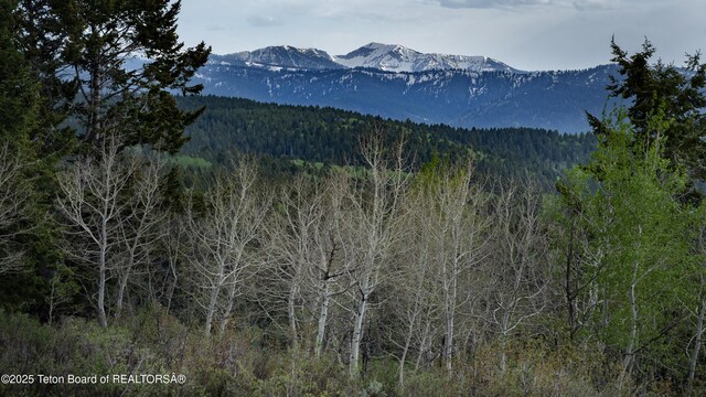3171 Canyon Crest Dr, Victor, ID 83455 - photo 3