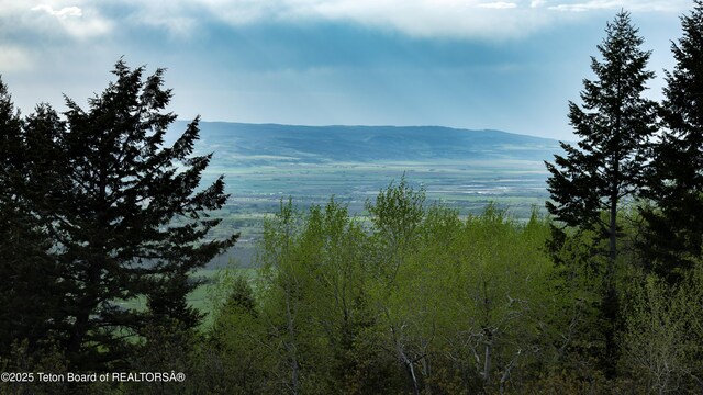 3171 Canyon Crest Dr, Victor, ID 83455 - photo 7
