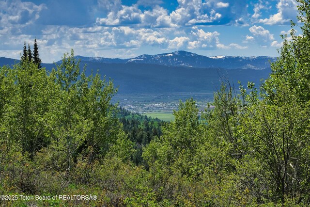 3171 Canyon Crest Dr, Victor, ID 83455 - photo 8
