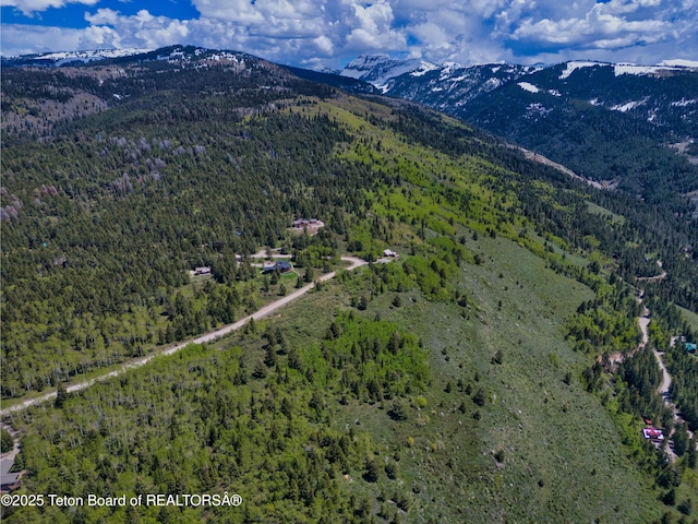 3171 Canyon Crest Dr, Victor, ID 83455 - photo 12