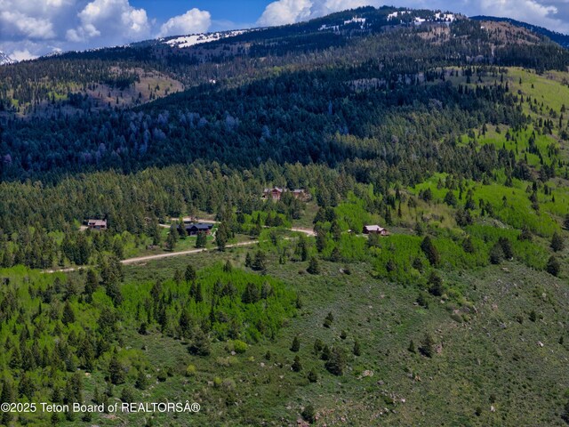 3171 Canyon Crest Dr, Victor, ID 83455 - photo 13