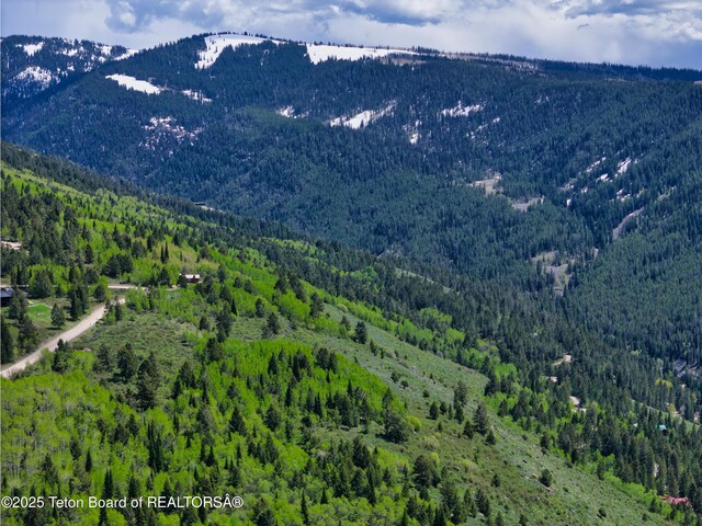 3171 Canyon Crest Dr, Victor, ID 83455 - photo 14