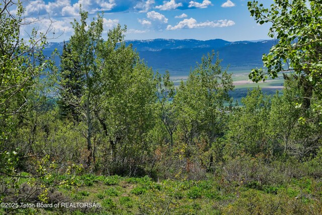 3171 Canyon Crest Dr, Victor, ID 83455 - photo 15