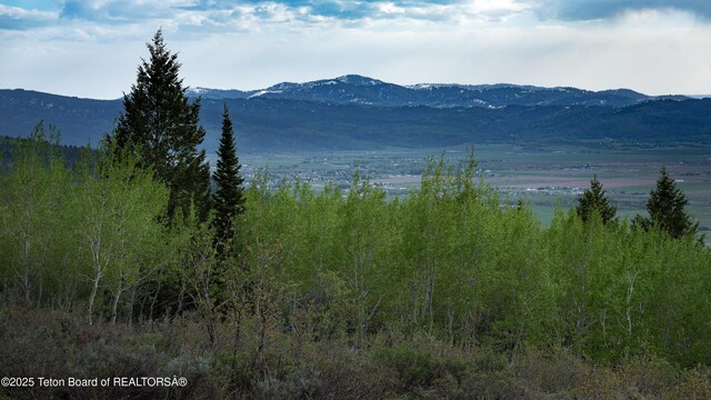 3171 Canyon Crest Dr, Victor, ID 83455 - photo 17