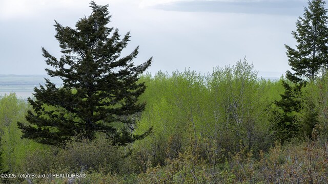 3171 Canyon Crest Dr, Victor, ID 83455 - photo 18