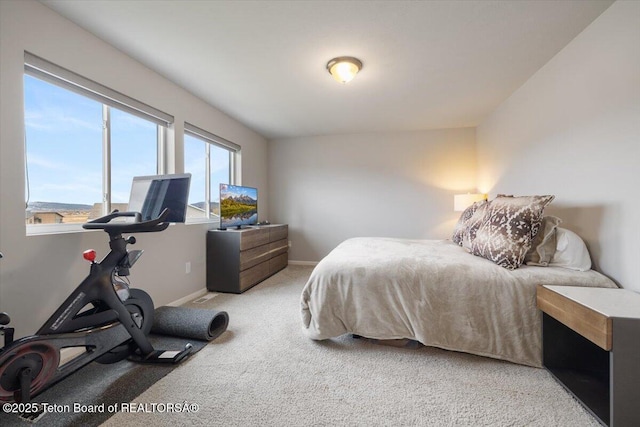 365 Little Greys Lp, Etna, WY 83118 - bedroom with carpet and baseboards