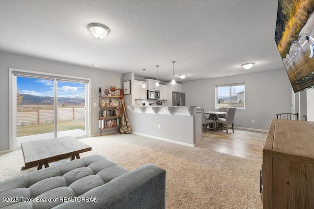 365 Little Greys Lp, Etna, WY 83118 - living area with light carpet