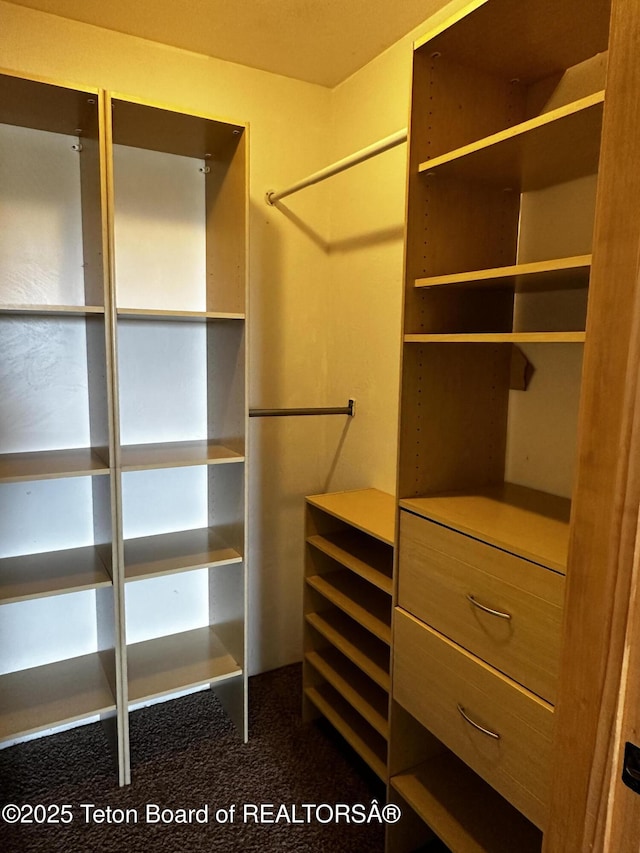 21 Hawk Path, Boulder, WY 82923 - spacious closet featuring dark carpet