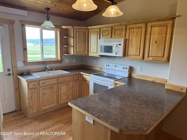 263 Friesian Cir # 9, Thayne, WY 83127