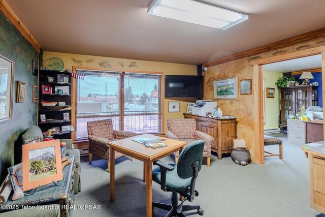 117 W Pine St, Pinedale, WY 82941 - photo 107