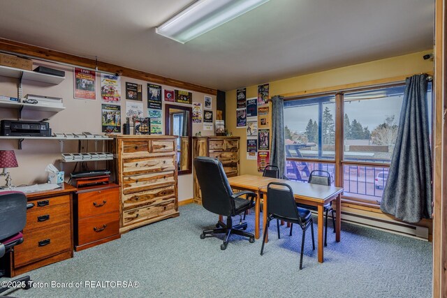 117 W Pine St, Pinedale, WY 82941 - photo 108