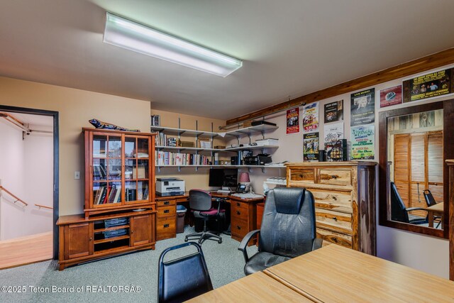 117 W Pine St, Pinedale, WY 82941 - photo 109