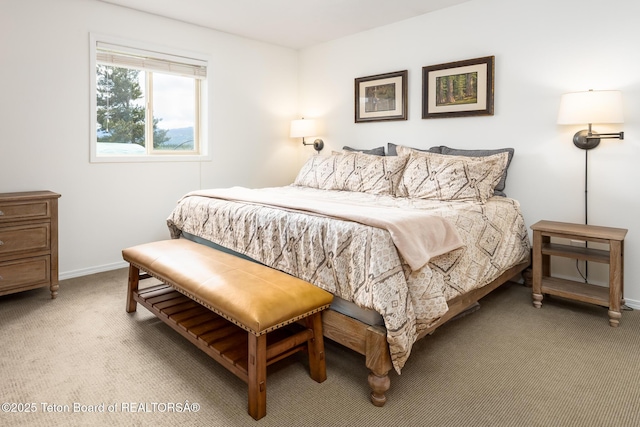 7031 Lakeside Rd, Victor, ID 83455 - photo 12