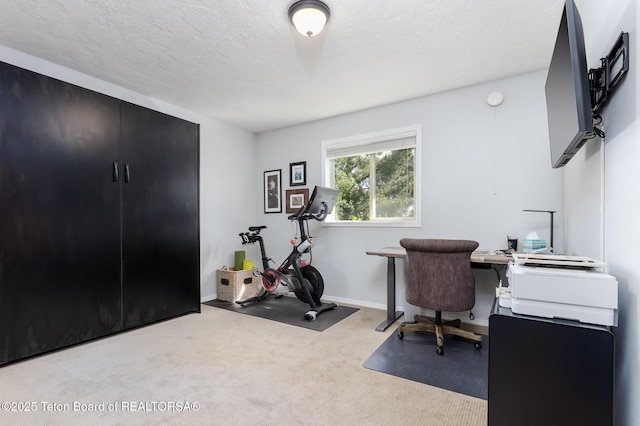 7031 Lakeside Rd, Victor, ID 83455 - photo 18
