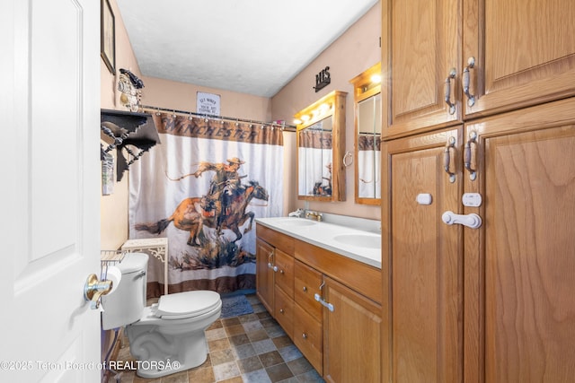 105 Heap Dr, Thayne, WY 83127 - bathroom featuring toilet, double vanity, stone finish flooring, and curtained shower
