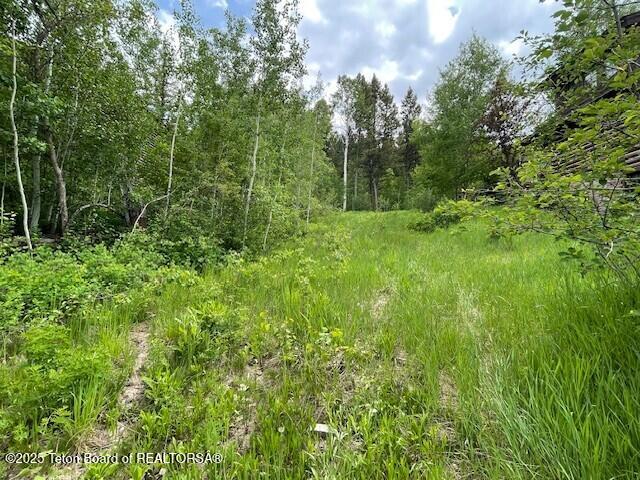 38 Blackfoot Trl, Victor, ID 83455