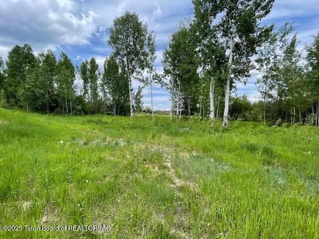 38 Blackfoot Trl, Victor, ID 83455