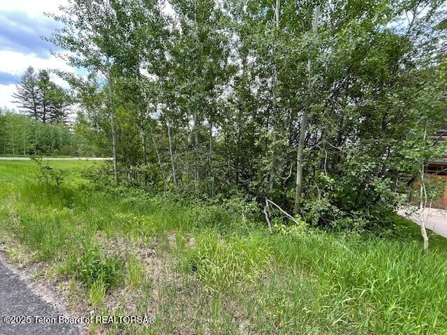 38 Blackfoot Trl, Victor, ID 83455