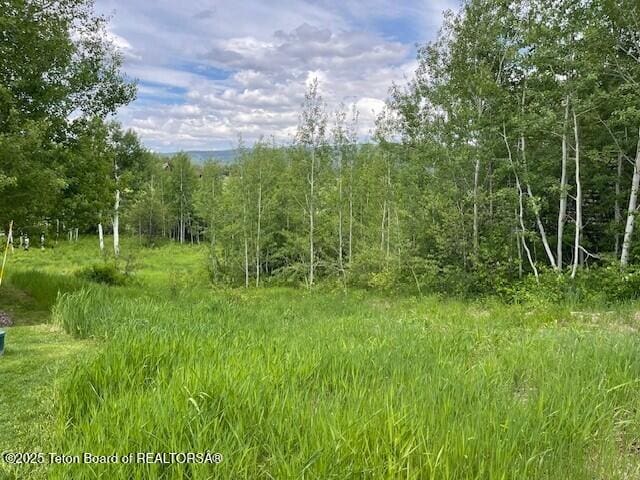 38 Blackfoot Trl, Victor, ID 83455