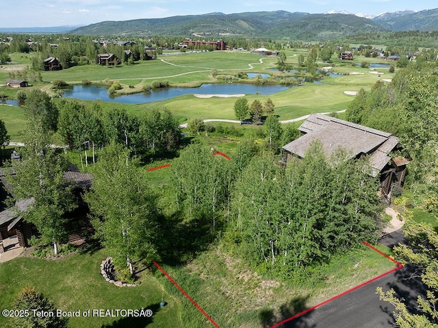 38 Blackfoot Trl, Victor, ID 83455