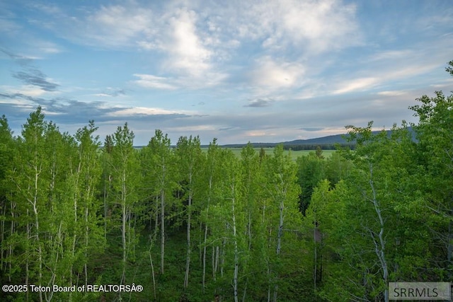 4770 Deer Dr, Island Park, ID 83429 - view of undeveloped land