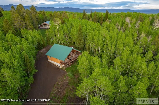 4770 Deer Dr, Island Park, ID 83429 - view of subject property with a heavily wooded area and a mountainous background