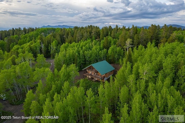 4770 Deer Dr, Island Park, ID 83429 - aerial view of property and surrounding area featuring a heavily wooded area and a mountain backdrop