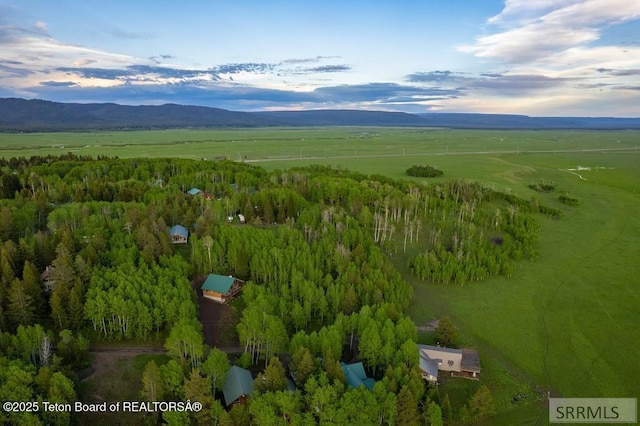 4770 Deer Dr, Island Park, ID 83429 - view of rural area with a mountainous background