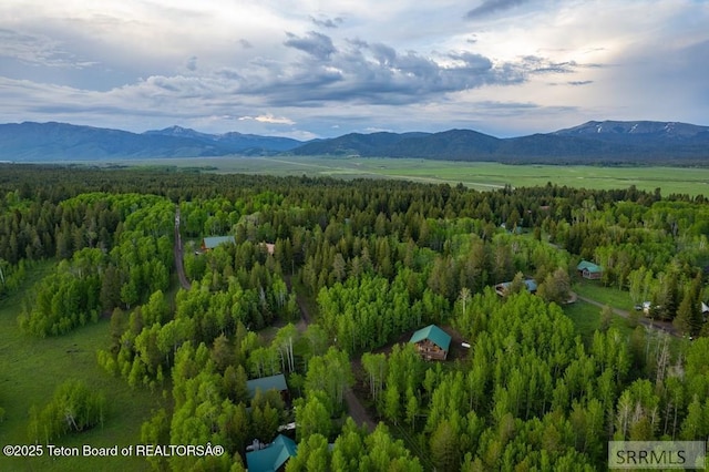 4770 Deer Dr, Island Park, ID 83429 - aerial view of a heavily wooded area and mountains