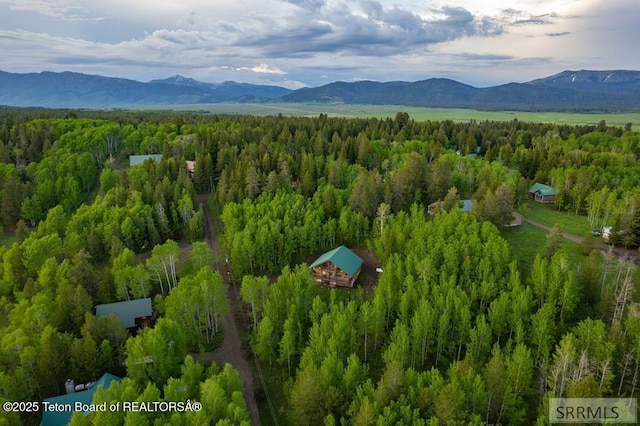 4770 Deer Dr, Island Park, ID 83429 - drone / aerial view of a mountain backdrop and a heavily wooded area