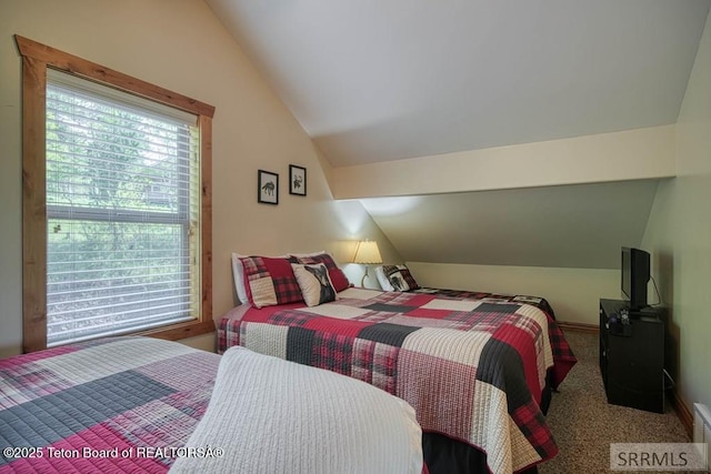 4770 Deer Dr, Island Park, ID 83429 - carpeted bedroom with vaulted ceiling and multiple windows