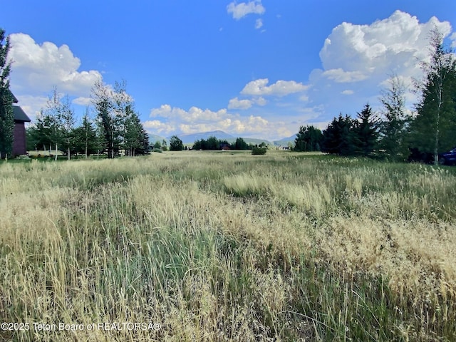 13 Kearsley Ln, Victor, ID 83455