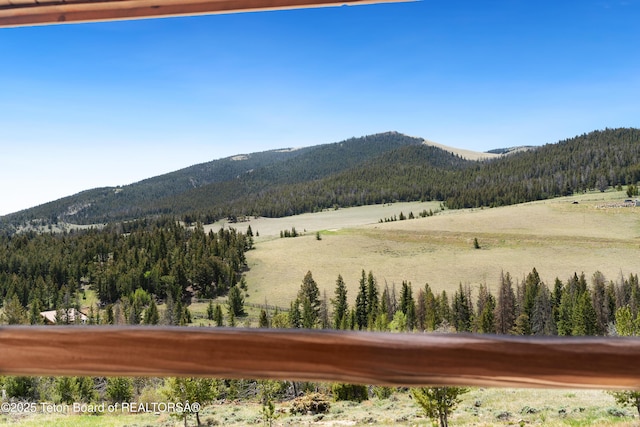196 Soda Springs Dr, Dubois, WY 82513 - view of mountain backdrop with a heavily wooded area