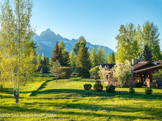 720 E Paintbrush Dr, Jackson, WY 83001 - view of mountain backdrop