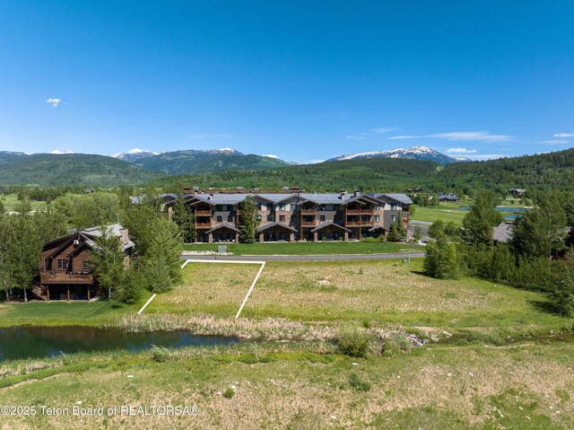 6 Riparian Dr, Victor, ID 83455 - photo 8