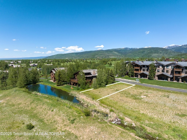 6 Riparian Dr, Victor, ID 83455 - photo 9
