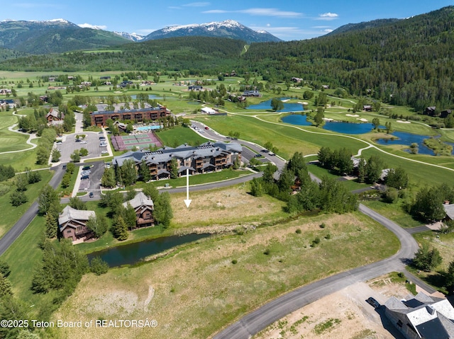 6 Riparian Dr, Victor, ID 83455 - photo 6
