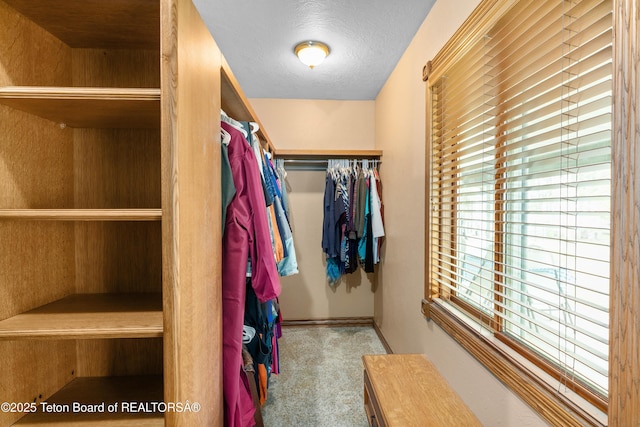 1255 Lost Crk, Thayne, WY 83127 - spacious closet with carpet flooring