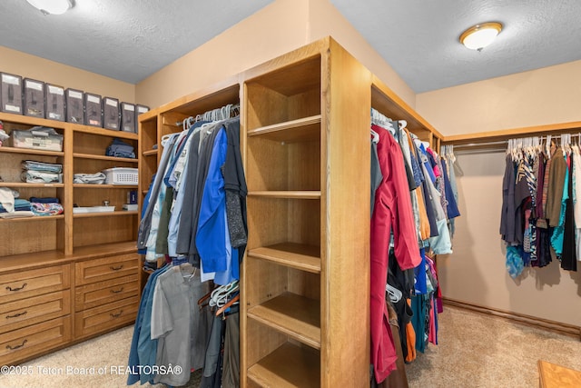 1255 Lost Crk, Thayne, WY 83127 - spacious closet with carpet floors