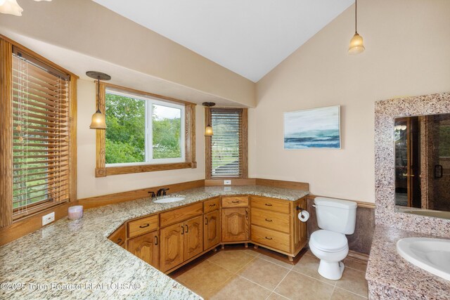 1255 Lost Crk, Thayne, WY 83127 - bathroom featuring toilet, healthy amount of natural light, vaulted ceiling, tile patterned flooring, and a bath