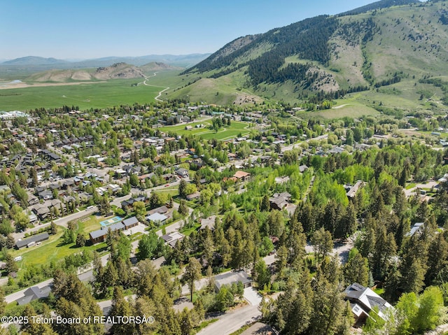 785 Snow King Dr, Jackson, WY 83001 - photo 24