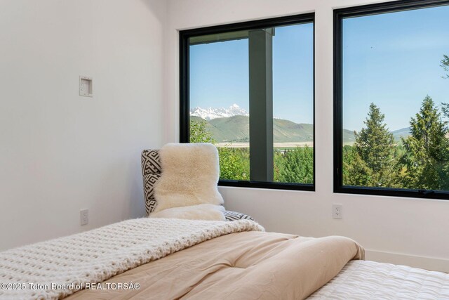 785 Snow King Dr, Jackson, WY 83001 - photo 21