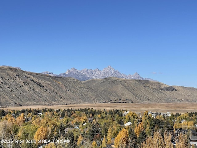 785 Snow King Dr, Jackson, WY 83001 - photo 42
