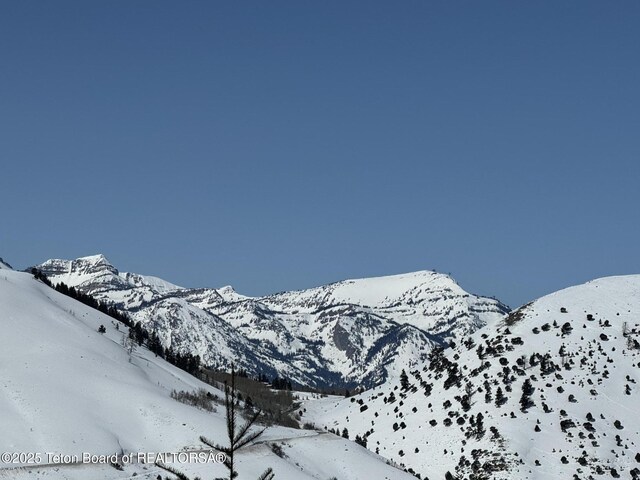 785 Snow King Dr, Jackson, WY 83001 - photo 50
