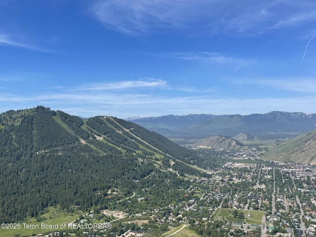 785 Snow King Dr, Jackson, WY 83001 - photo 28